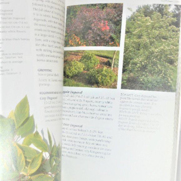 Lois Hole's Favorite TREES & SHRUBS Add Privacy Versatility To Yard - Picture 2 of 6